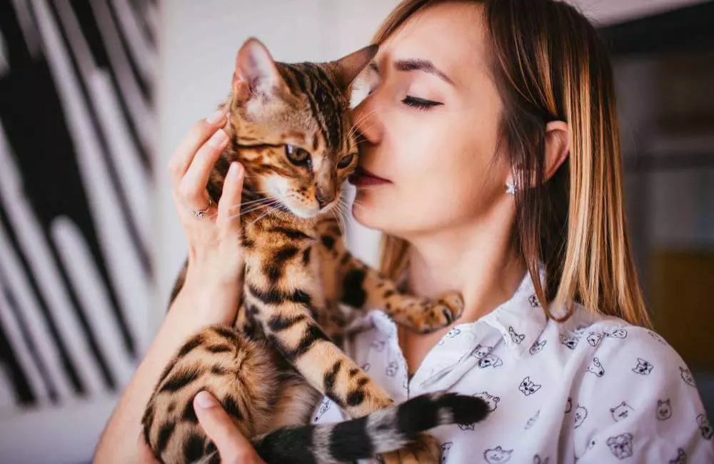 Cirurgias veterinárias